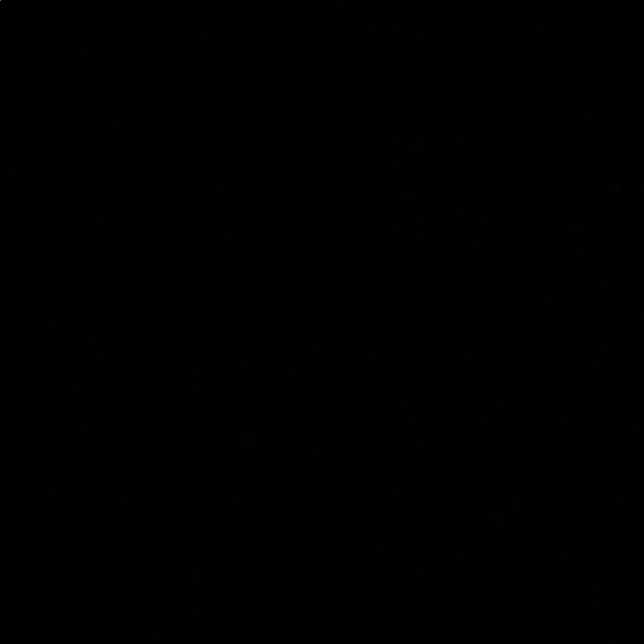 Meet your Posher, Reese - Picture 1 of 1